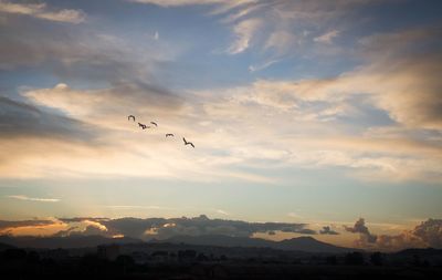 Birds flying over silhouette mountains against sky