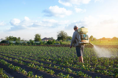 A farmer with a mist fogger sprayer sprays fungicide and pesticide on potato bushes. 