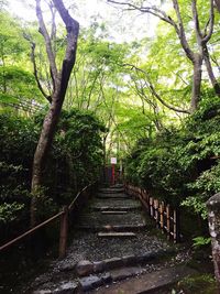 Footbridge over river