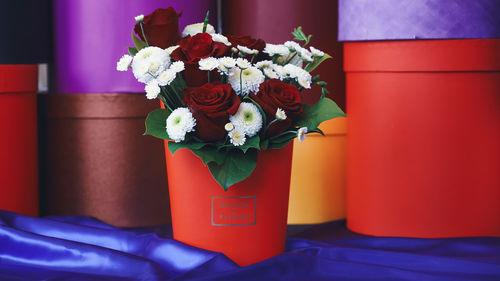 Close-up of flower pot