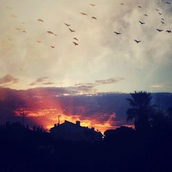 Silhouette of built structure at sunset