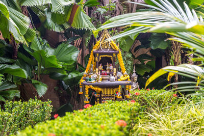 People in garden by plants