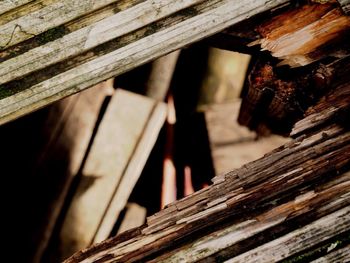 Close-up of old wooden log