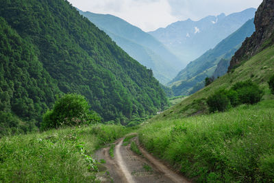 Scenic view of road amidst mountains. beautiful gorge in the mountains.