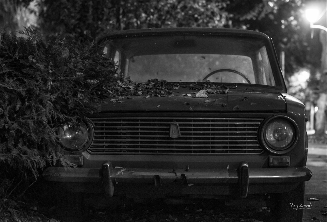 abandoned, tree, building exterior, built structure, old, house, architecture, day, plant, window, no people, obsolete, outdoors, damaged, old-fashioned, growth, front or back yard, run-down, focus on foreground, field