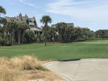 Trees growing on field against sky