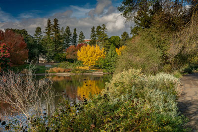 Scenic view of lake in forest during autumn