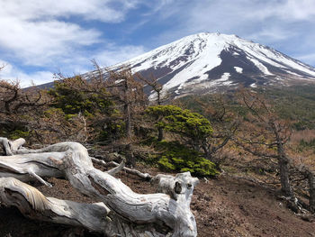 Scenic view of snowcapped mountain against sky