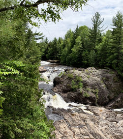 Scenic view of rocks in forest against sky