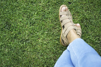 Low section of person wearing shoes on grassy field