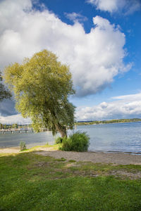 Scenic view of beach against sky