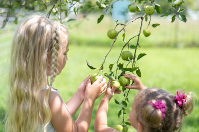 Rear view of girls standing by plant