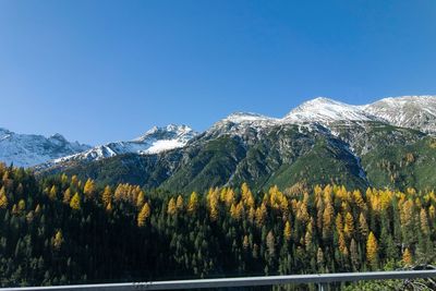 Scenic view of trees against clear blue sky