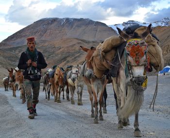 Rear view of horse in front of mountains