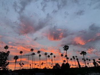 Low angle view of silhouette trees against dramatic sky