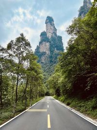 Empty road along trees and plants against sky