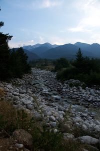 Stream flowing through mountain