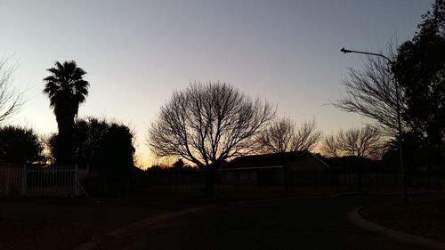 Silhouette of bare trees against sky at sunset