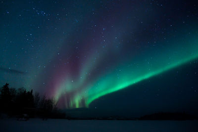Low angle view of aurora borealis at night