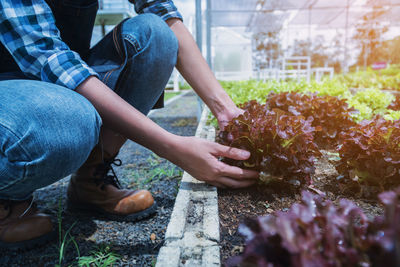 Low section of woman holding plant