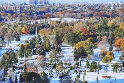 Trees in city during autumn