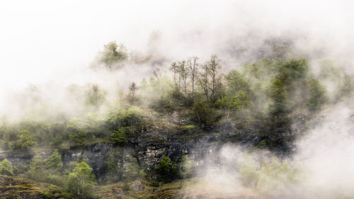 Scenic view of waterfall in forest against sky