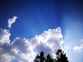 Low angle view of tree against blue sky