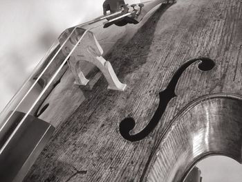 Close-up of double bass