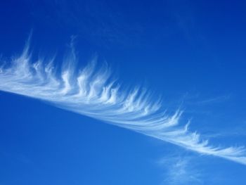 Low angle view of vapor trail in blue sky