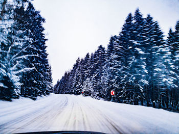 Road amidst trees against clear sky during winter