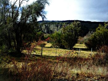 Scenic view of landscape against sky