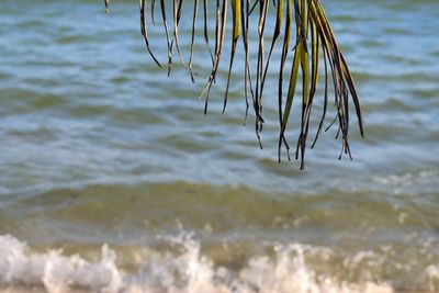 Close-up of rippled water