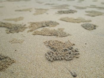 High angle view of footprints on sand at beach