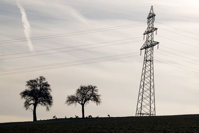 Low angle view of electricity pylon on field with deer against sky