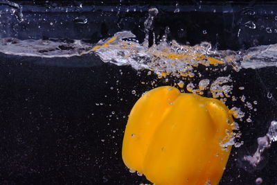 High angle view of lemon in water