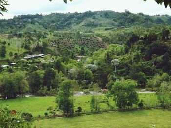 Scenic view of landscape