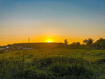 Scenic view of field against sky during sunset
