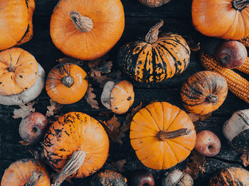 Close-up of pumpkins