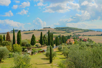 Panoramic view of field against sky