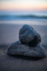 Close-up of rock on beach against sky