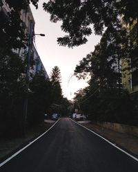 Empty road along trees and plants in city