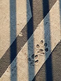 Close-up of shadow on ground