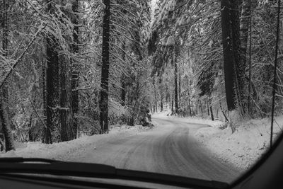 Road amidst trees seen through car windshield during winter