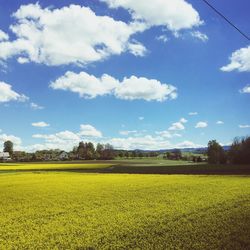 Scenic view of field against sky