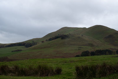 Scenic view of green landscape against sky