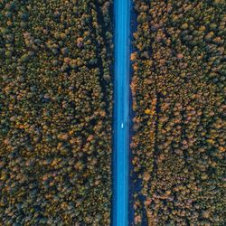 Aerial view of road by trees