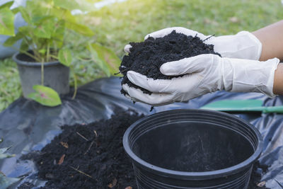 Cropped hand of man holding plant