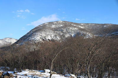 Scenic view of snow covered trees against sky