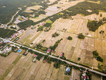 High angle view of agricultural field