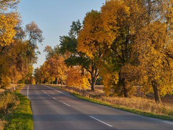 autumn